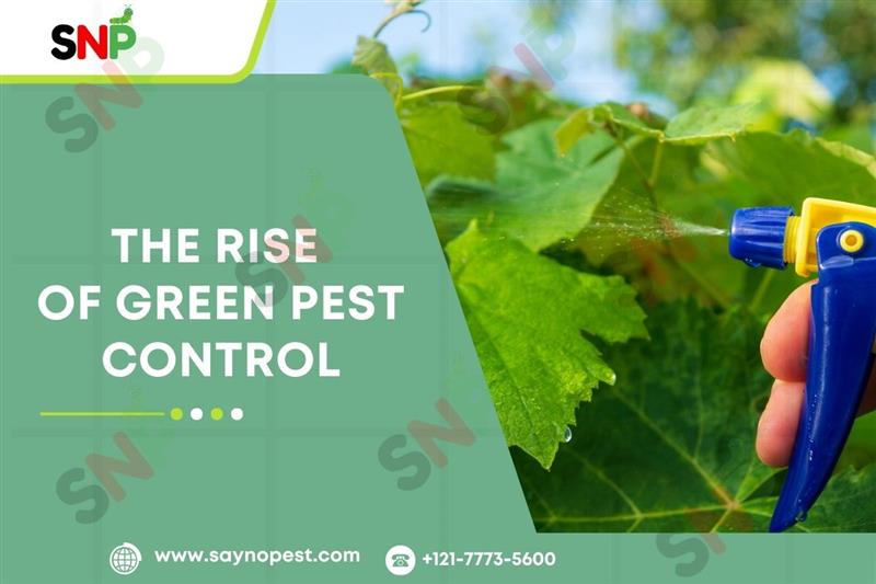 Why It Is Worth Hiring Pest Control Services Providers